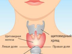 Перешеек щитовидной железы