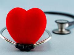 профилактика заболеваний сердечно-сосудистой системы