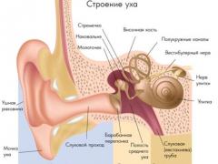 препараты от шума в ушах и голове