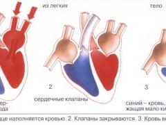 Лекарство для сердечной мышцы