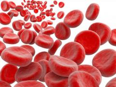 гемоглобин в крови