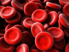 показатель гемоглобина в крови
