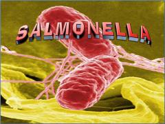 лечение сальмонеллеза у детей