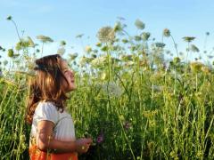 Аллергия на пыльцу растений как причина фотодерматита