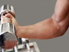 Мышцы развиваются при увеличении нагрузки