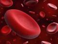 Расшифровка анализа крови на гормоны