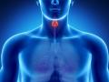 уменьшение щитовидной железы причины
