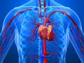 Разрыв аорты сердца
