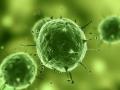 Вирус папилломы человека вызывает клеточные изменения