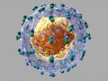 Число больных гепатитом С увеличивается с каждым годом