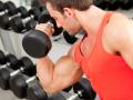 Бицепс является одной из самых популярных мышц