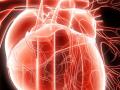 Дыхательная аритмия считается патологией сердечной мышцы