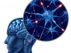 Нейродегенеративные заболевания головного мозга