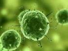 Вирус папилломы человека вызывает клеточные изменения