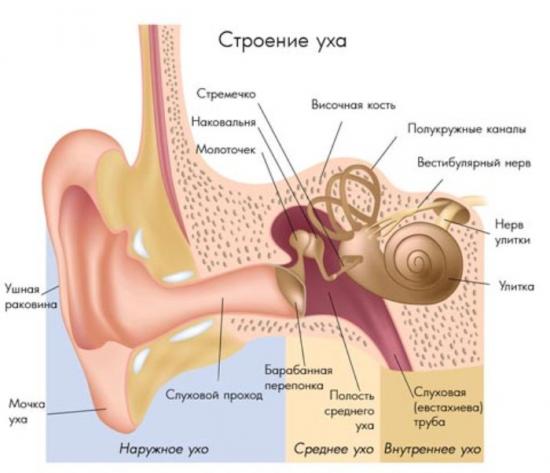 препараты от шума в ушах и голове