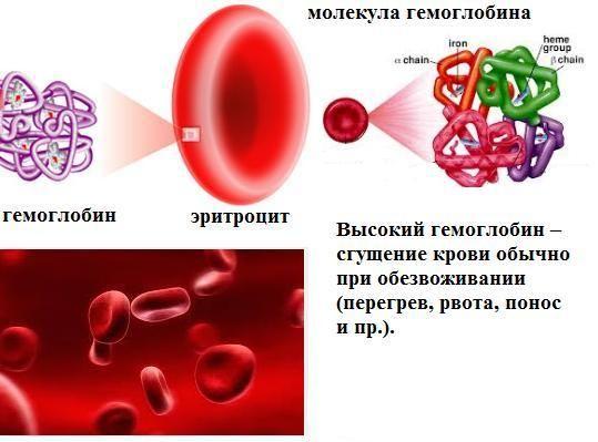 повышенный гемоглобин