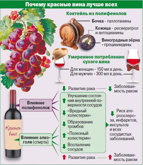состав красного вина