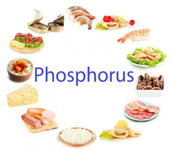 фосфор источники для человека